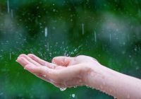 نماز باران در حرم رضوی اقامه می شود