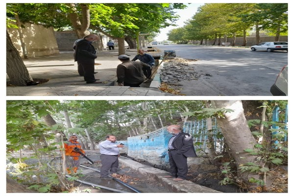 بازدید رئیس شورای اسلامی شهر از فضای سبز شهری 