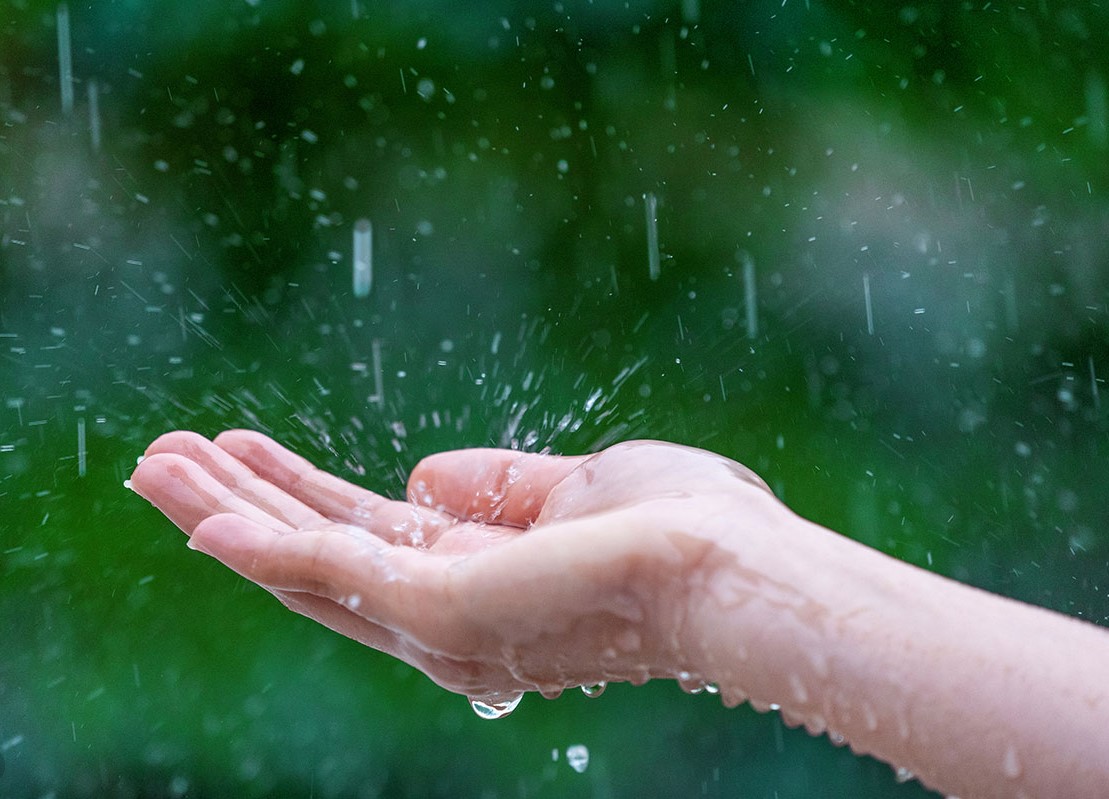 نماز باران در حرم رضوی اقامه می شود